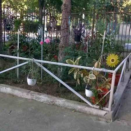 Hotel Dumbrava Eforie Sud